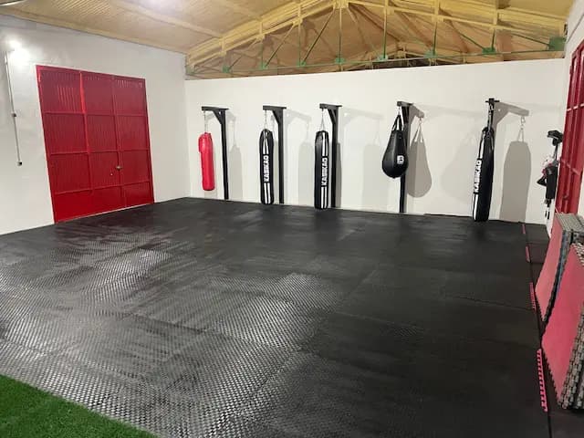 Gym equipment